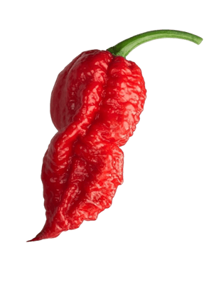 Bhut Jolokia