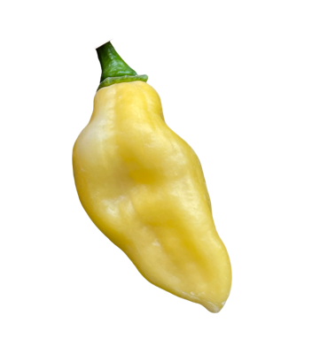 Habanero Hot Lemon