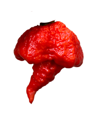 Reaper Brain Red (RB003)